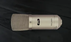 CAD GXL2400 Microphone
