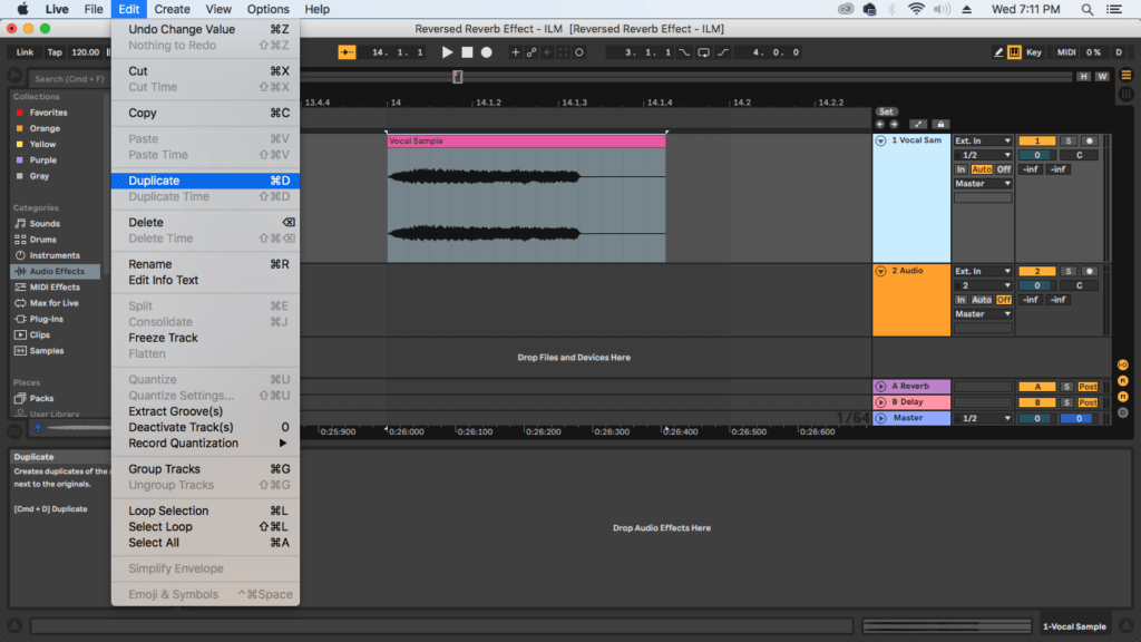 Duplicate track to start with Reversed reverb effect