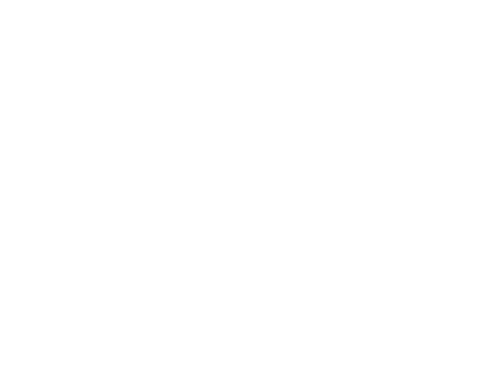 FLASH SALE 11 C-odd