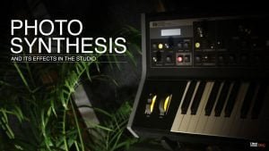 Why plants are important in a studio?