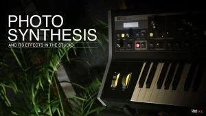 Why plants are important in a studio?