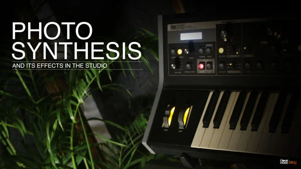 Why plants are important in a studio?
