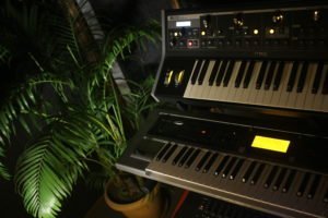 Reed Palm Chamaedorea