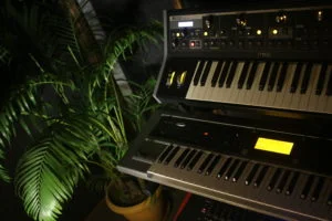 Photo - Synthesis: The importance of plants in a studio. 1 Reed Palm Chamaedorea