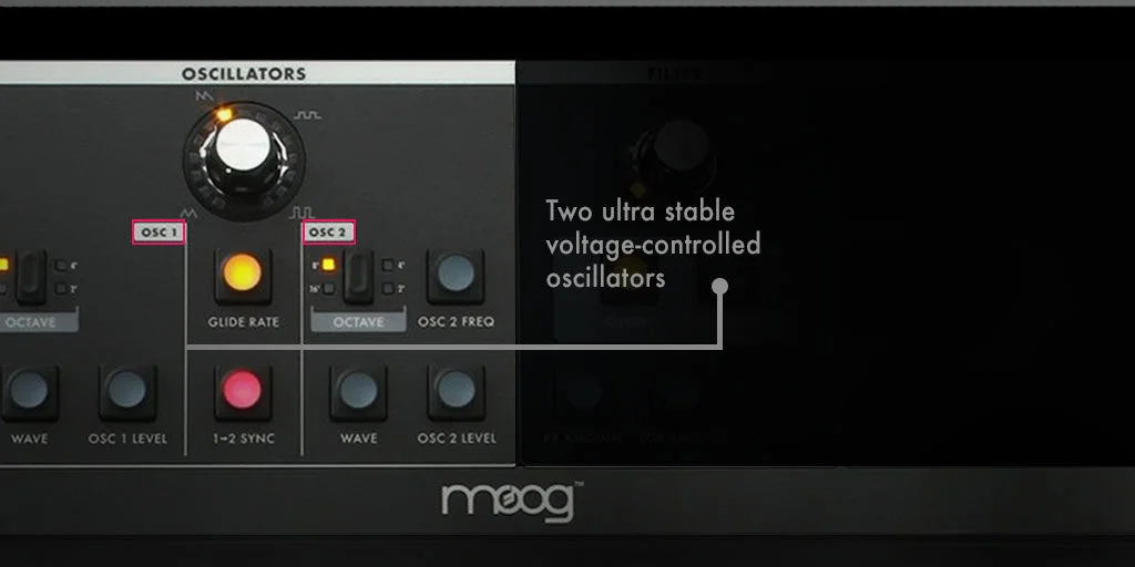 Amazing Moog Little Phatty Synth: It's Amost Vintage! 1 Oscillators on Little Phatty